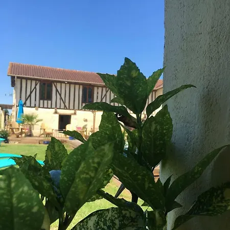 Du Beau Ciel * Miélan