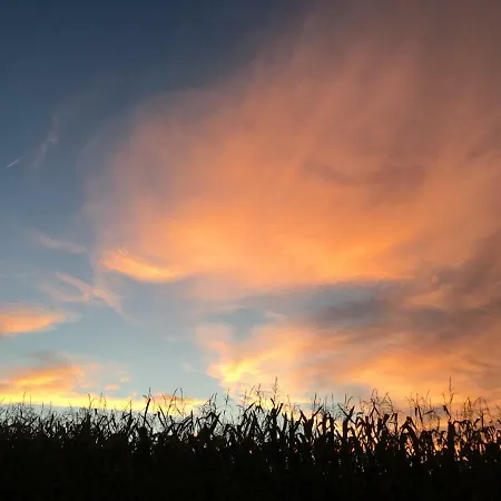 Du Beau Ciel Miélan