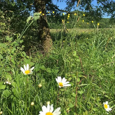 Du Beau Ciel Miélan